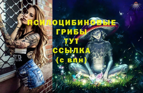 тгк Армянск