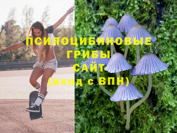 тгк Армянск
