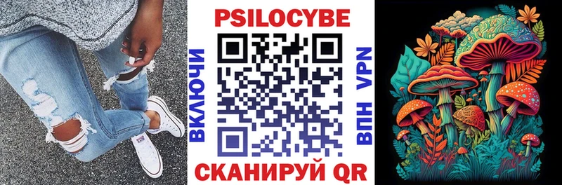 Псилоцибиновые грибы MAGIC MUSHROOMS  наркота  Саянск 